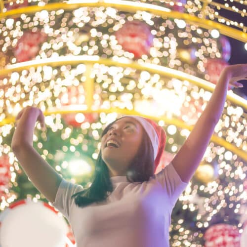 Holiday Lights Tours